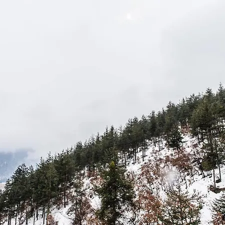 Hotel Olymp Velingrad