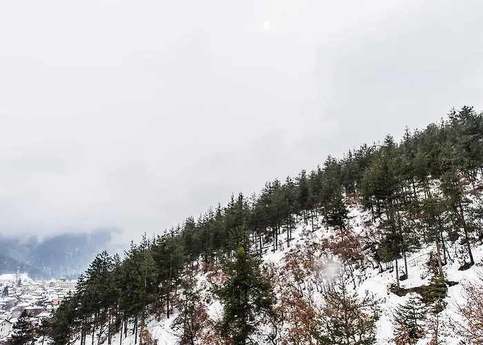 Hotel Olymp Velingrad